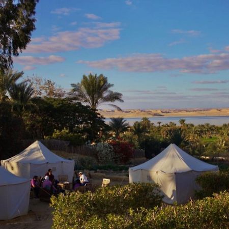 Tunis Village El-Al Fayyūm Zewnętrze zdjęcie
