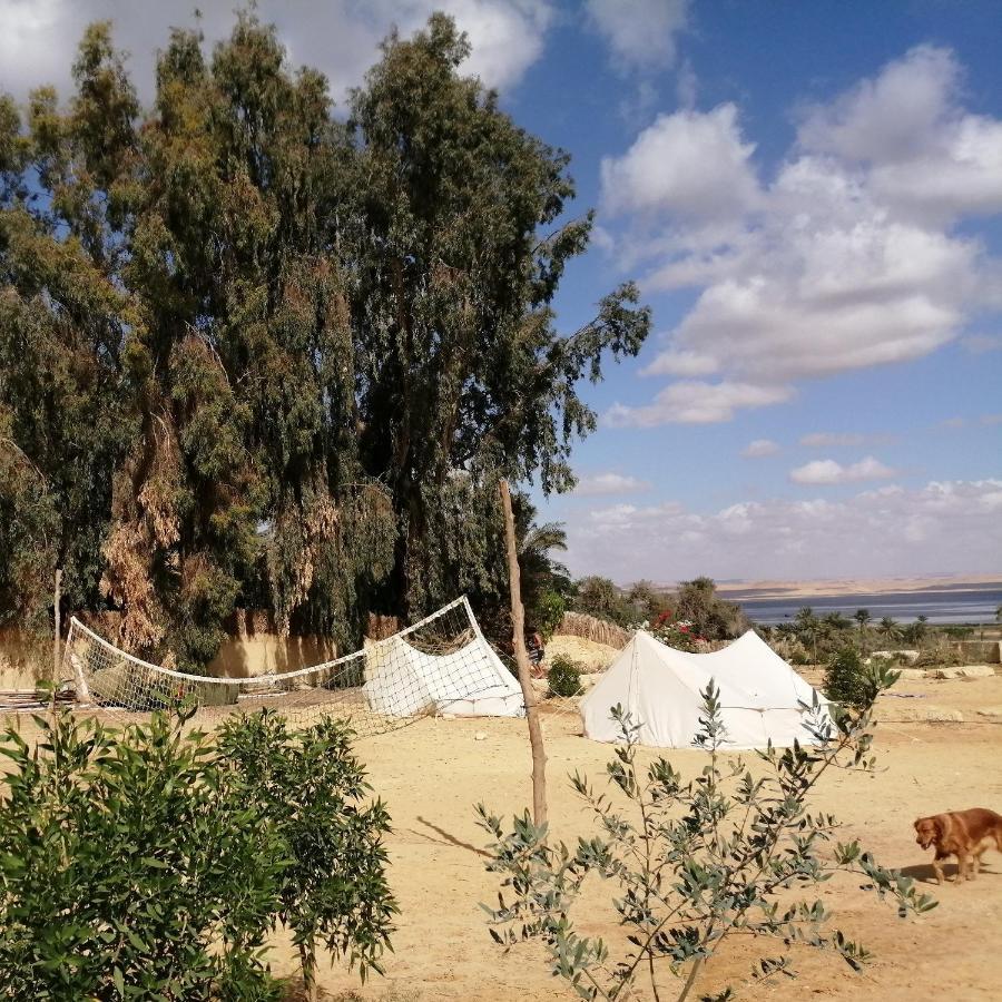 Tunis Village El-Al Fayyūm Pokój zdjęcie