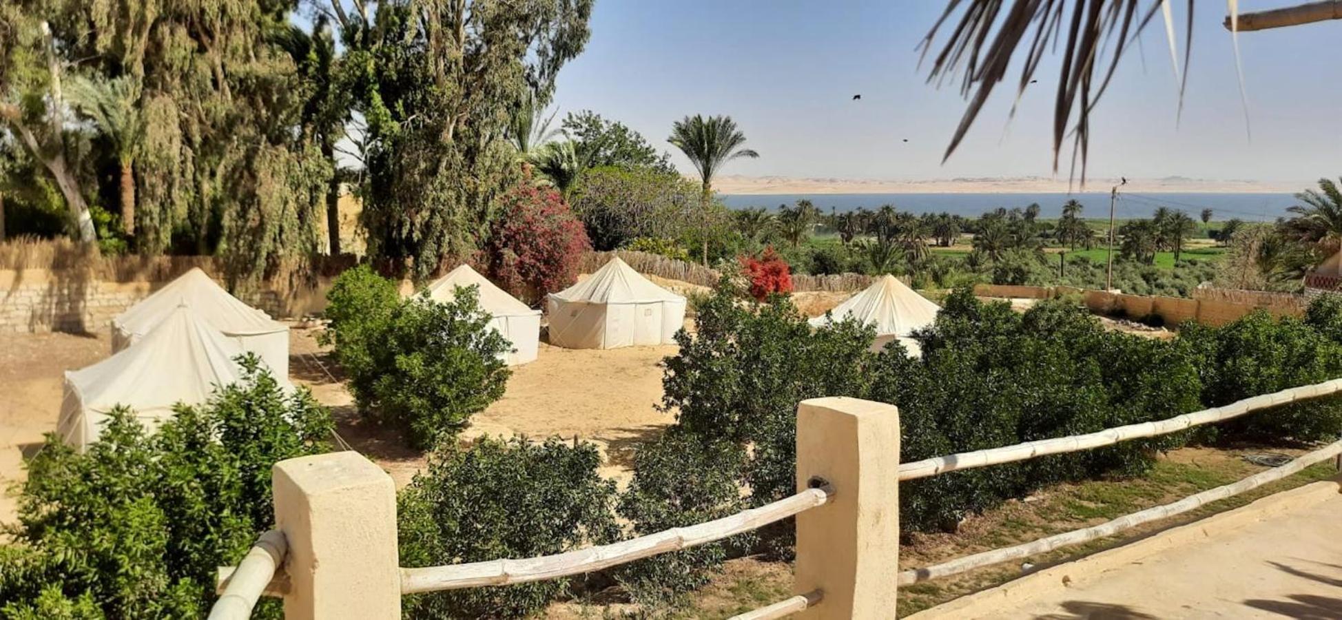 Tunis Village El-Al Fayyūm Zewnętrze zdjęcie